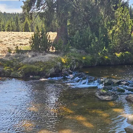 Montezera Butikowe Ekspedycje Sauna I Widok * פיצ'ובויצה