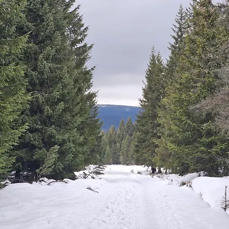 Montezera Butikowe Ekspedycje Sauna I Widok *