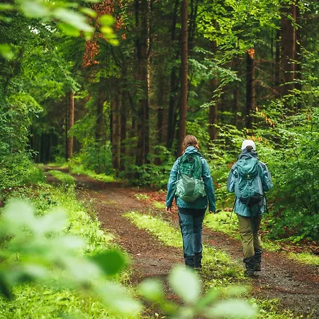 Apartamento Montezera Butikowe Ekspedycje Sauna I Widok Piechowice (Karkonosze)