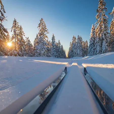Montezera Butikowe Ekspedycje Sauna I Widok Piechowice (Karkonosze)
